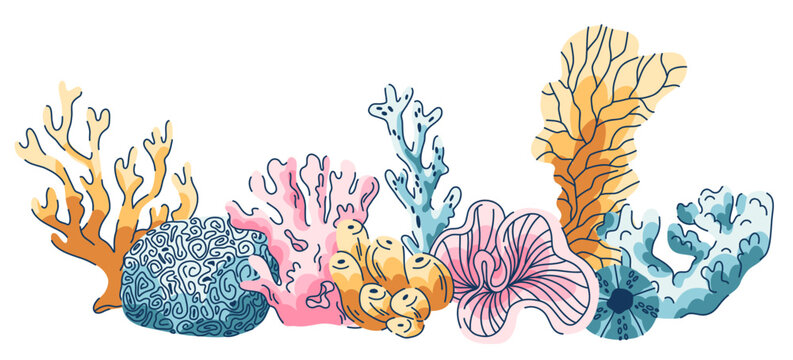 A set of marine benthic corals in a linear arrangement, arborescent, sponge and tube corals and algae of a coral reef