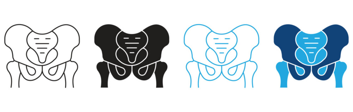 Pelvic area icon set, Outline Vector illustration.