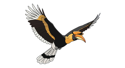 Great Hornbill illustration in flight isolated on white background © Indah