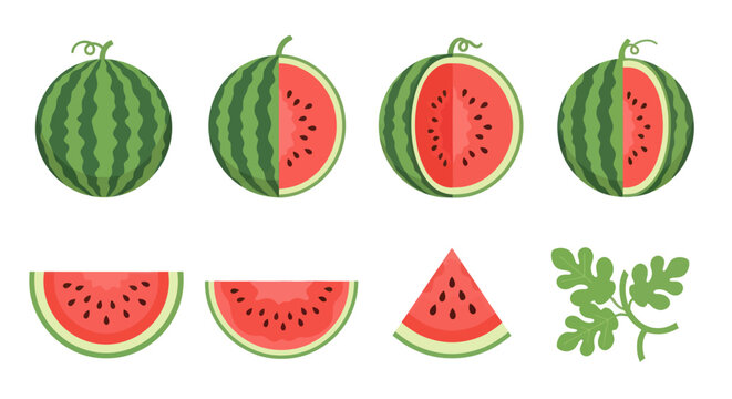 Fresh watermelon slices and whole fruit