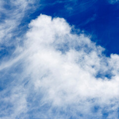Obraz premium A clear blue sky with wispy white clouds scattered across the horizon