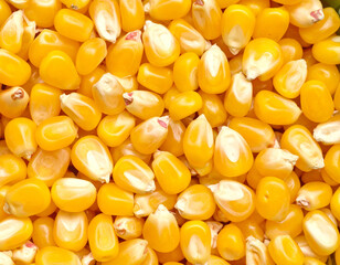 Fototapeta premium Popcorn kernels, top view, full frame, macro shot. AI