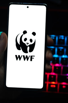 Punta Arenas, Chile &ndash; April 30, 2026: A person holding a smartphone displaying the WWF (World Wide Fund for Nature) panda logo on its screen with a vibrant, colorfully backlit mechanical keyboard in t
