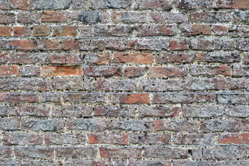 Fototapeta premium Textured Surface of Old Brick Garden Wall in Close Up