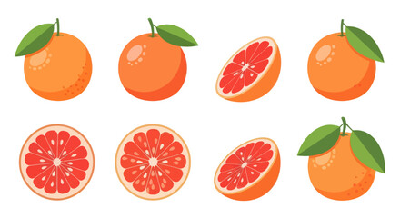 Naklejka premium Fresh grapefruit illustrations