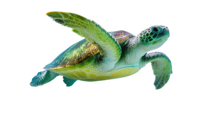 Isolated vibrant green sea turtle gracefully swimming with textured shell and outstretched flippers © Saoirse