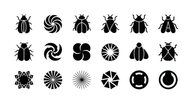 Graphic insects and abstract shapes