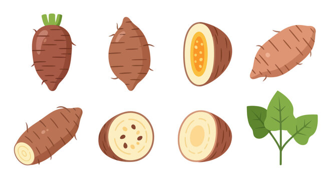 Illustrated vegetables sweet potatoes and leaves