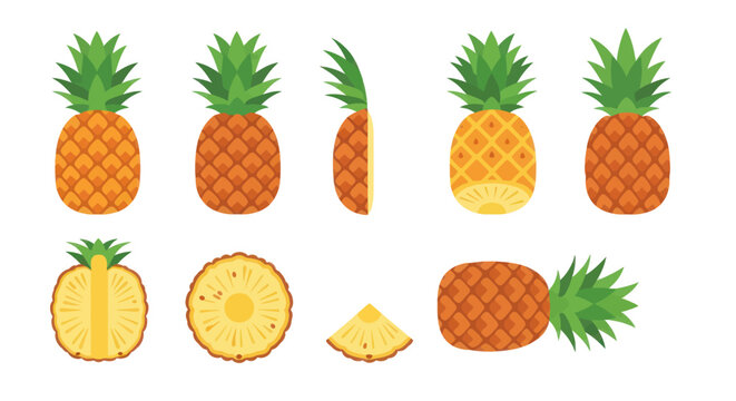 Illustration of a pineapple set