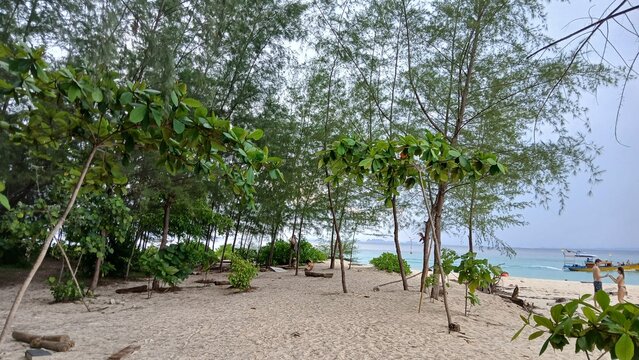 Tropical trees and lush coastal vegetation on the sandy shore of Poda Island with the Andaman Sea in the background, Krabi, Thailand