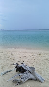 Vertical view of weathered driftwood on a white sand beach with turquoise water at Poda Island, Krabi, Thailand