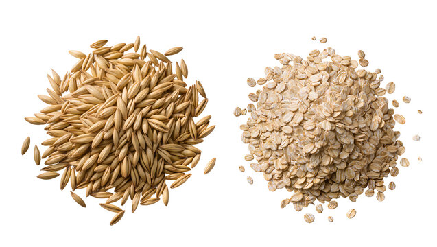 Isolated raw oat grains and dry rolled flakes for healthy breakfast cereal on clean surface