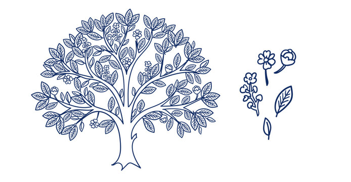 sal tree hand drawn vector ink traditional oriental asian Indian design isolated