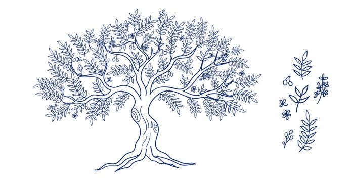 neem tree hand drawn vector ink traditional oriental asian Indian design isolated