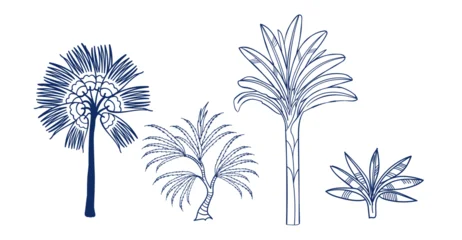 palm set tree hand drawn vector ink traditional oriental asian Indian design isolated © CharlieNati