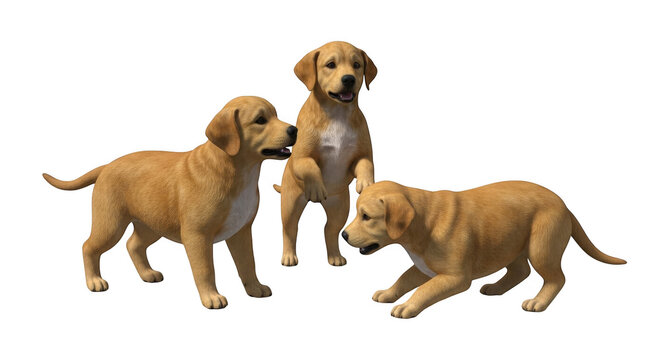 Three playful brown dogs in a relaxed pose together