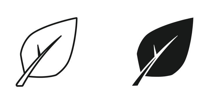 Simple black and white leaf icon with stem
