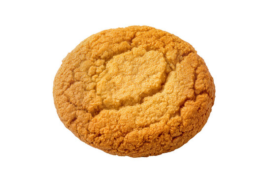 Isolated single freshly baked round golden cookie with a beautifully textured top surface