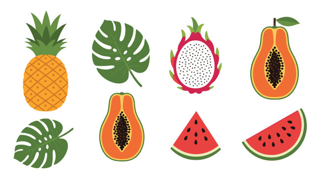 A set of stylized tropical fruit illustrations featuring whole pineapples, halved dragon fruit, papaya slices, and large monstera leaves on white.