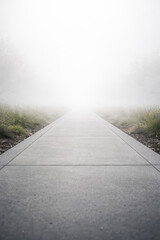 Naklejka premium Serene pathway leading into foggy misty surroundings ahead