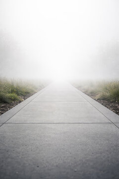 Serene pathway leading into foggy misty surroundings ahead