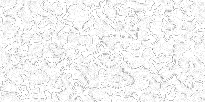 Gray topographic map contour lines on white background texture pattern