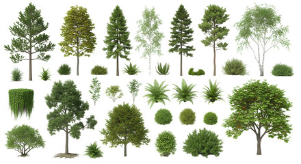 Fototapeta premium Realistic greenery forest trees collection on transparent backgrounds. high quality 3d rendering. png format