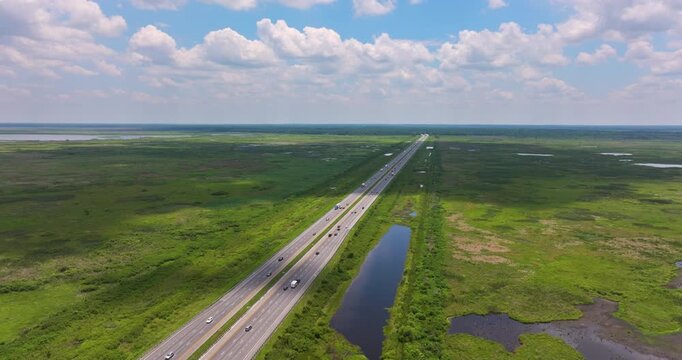 I-75 running through undeveloped Florida landscape with wetland vegetation.