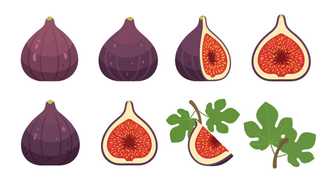 Fresh figs whole sliced and leafy sprigs