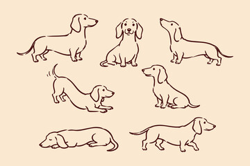 Dachshund dog poses set  sketch pattern vector © Victoria