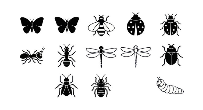 Insect silhouettes butterfly ant ladybug and more