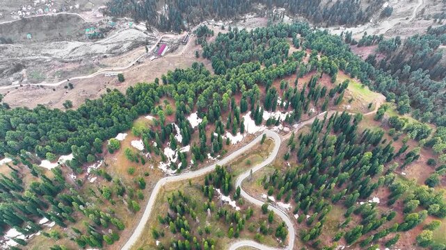 Top-down aerial tilt over winding mountain road in Gulmarg pine forest.