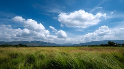Obraz premium Vast expanse of green grassland stretches beneath a dramatic blue sky filled with towering white clouds overlooking distant mountains