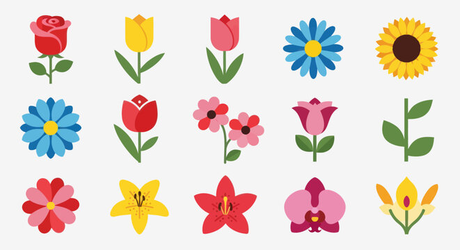 Colorful floral arrangement vector illustration