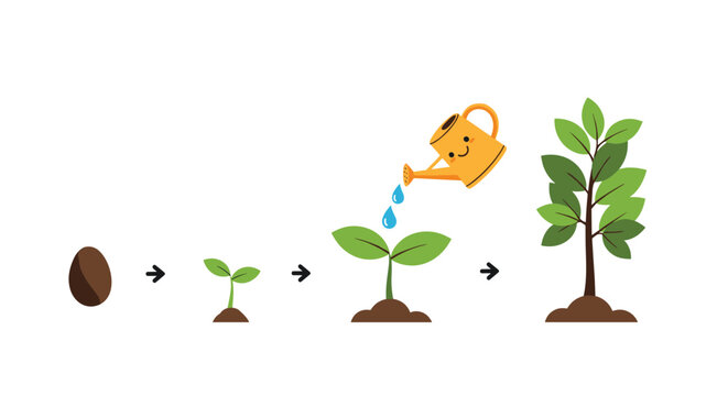 Diagram showing the life cycle of a plant from a seed to a sprout and finally a full grown tree with a watering can.