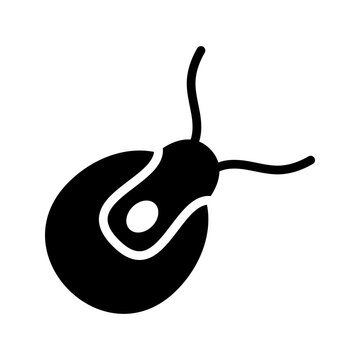 Chlamydomonas alga icon. Science and green algae filled symbol. Black and white.