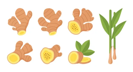 Fresh ginger root and leaves set illustration © Ganesha