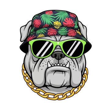 Cool bulldog wearing a bucket hat and sunglasses with a gold chain.