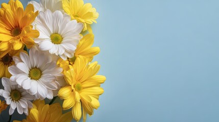 Obraz premium Bright yellow and white daisies are arranged on a soft blue background.