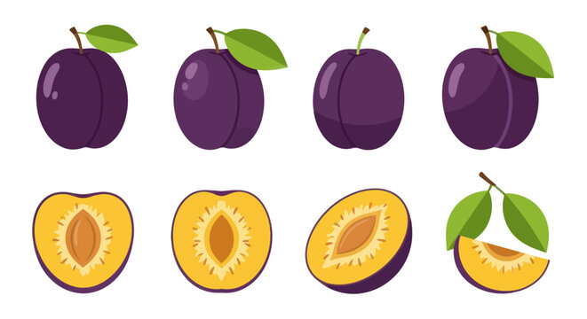 Fresh plums in various stages of ripeness