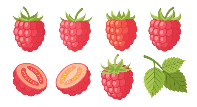 Fresh raspberries isolated on white background