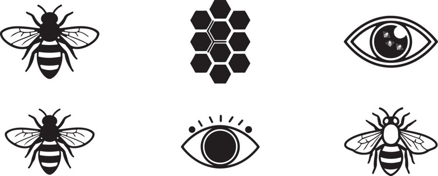 Black and white illustration of bees honeycomb and bee larva in a circular arrangement