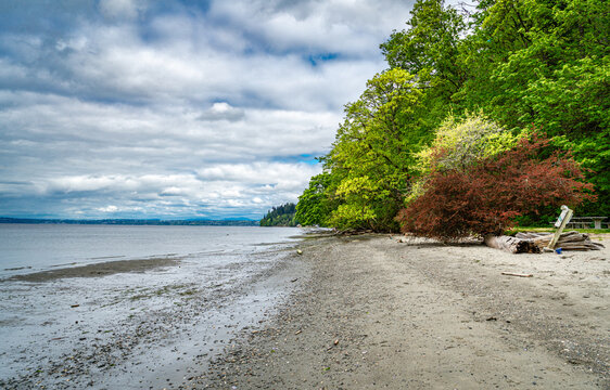 Beach Park shoreline