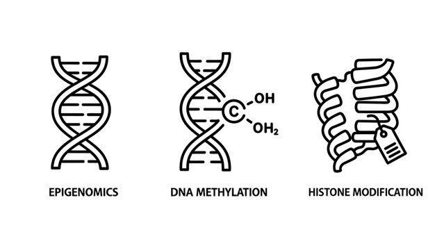 Epigenetics and genetic modification molecular structure icons with epigenetics methylation modification genetics molecule research genomics structure chemical biotechnology laboratory