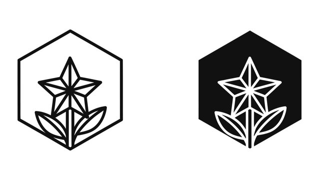 Minimalist star and leaf emblem in hexagon shape