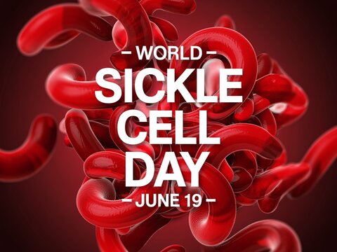 World Sickle Cell Day June 19 Red Blood Cell Background for Medical Disease Awareness