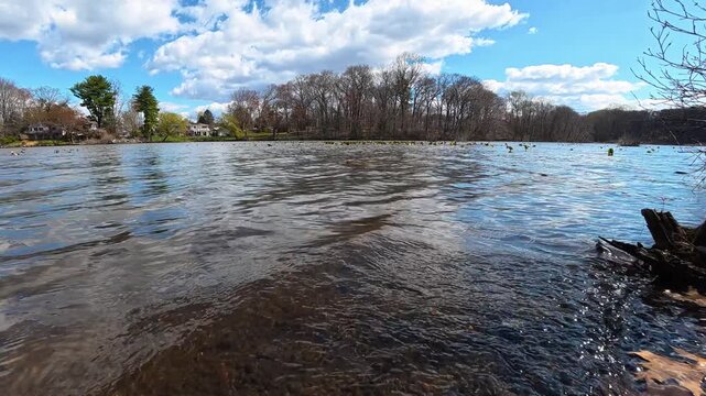 Monroe, New Jersey, USA. An early, warm spring&mdash;April 2026.