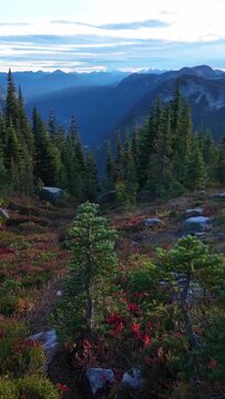 Majestic Mountain Landscape in British Columbia with Autumnal Valley Foliage