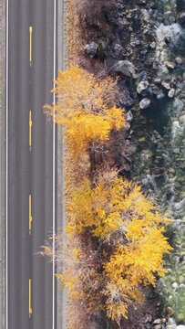 Autumn Road Alongside a Rushing River in Scenic British Columbia, Canada, Aerial View