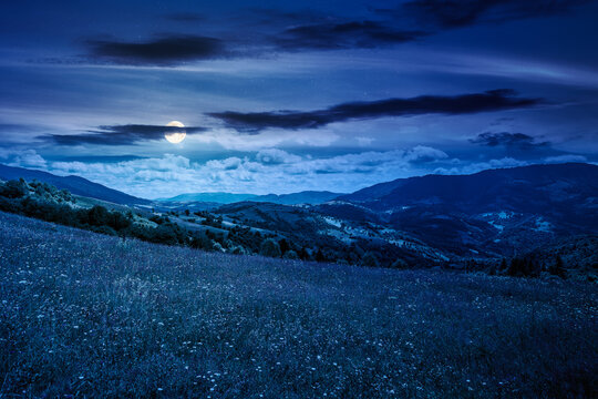 mountain landscape with grassy field at night. full moon over trees on the rolling hills and rural valley beneath a dark sky in the background. mysterious view of carpathian mountains in summer
